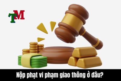 Nộp phạt vi phạm giao thông ở đâu? Trễ có sao không?