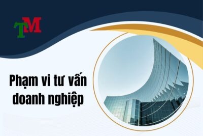 Phạm vi tư vấn doanh nghiệp