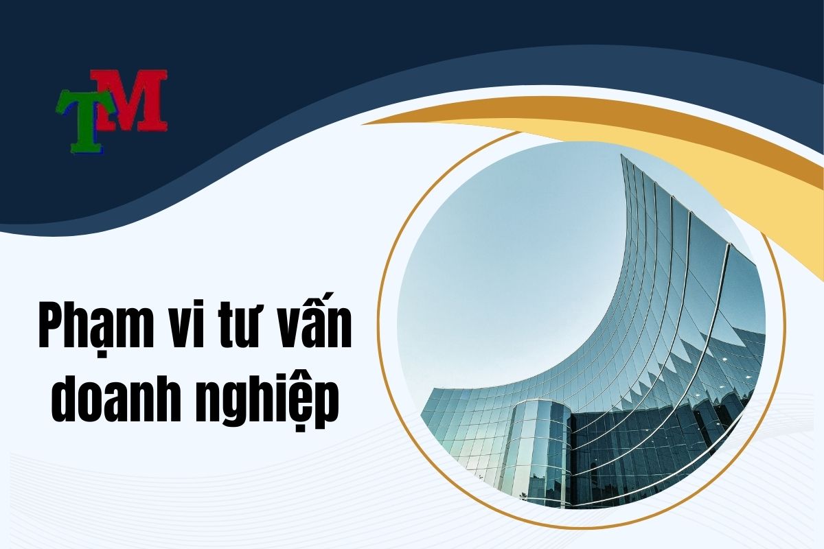 Luật doanh nghiệp toàn quốc mới nhất năm 2025 1 Phạm vi tư vấn doanh nghiệp
