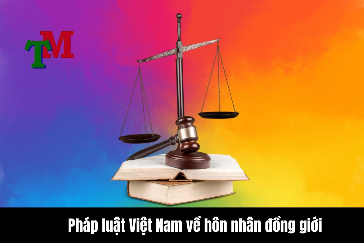 Luật hôn nhân đồng giới ở Việt Nam bao giờ mới được chấp nhận? 3 Pháp luật Việt Nam về hôn nhân đồng giới