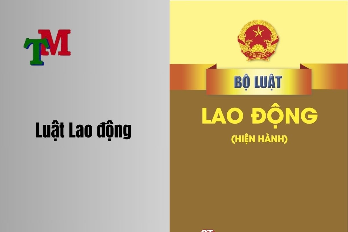 Luật lao động việt nam mới nhất - văn bản quy phạm pháp luật 1 Luật lao động việt nam 2025 mới nhất