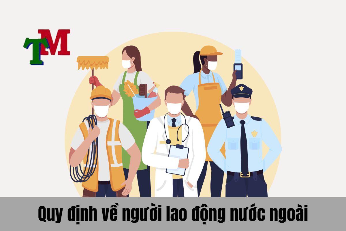 Luật lao động việt nam mới nhất - văn bản quy phạm pháp luật 3 Quy định về người lao động nước ngoài