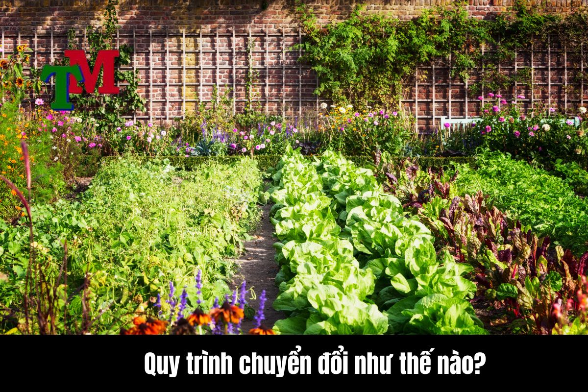 Phí chuyển đổi đất nông nghiệp sang đất ở 2 Quy trình chuyển đổi như thế nào