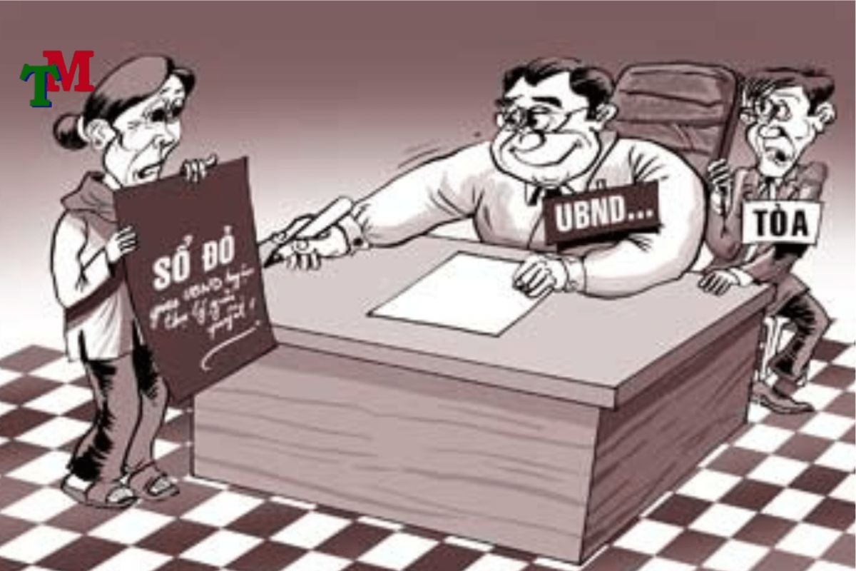 Tranh chấp thừa kế sử dụng đất