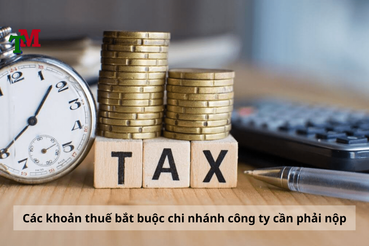 Các khoản thuế bắt buộc chi nhánh công ty cần phải nộp