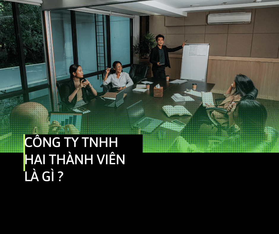 cong ty TNHH 2 thanh vien la gi