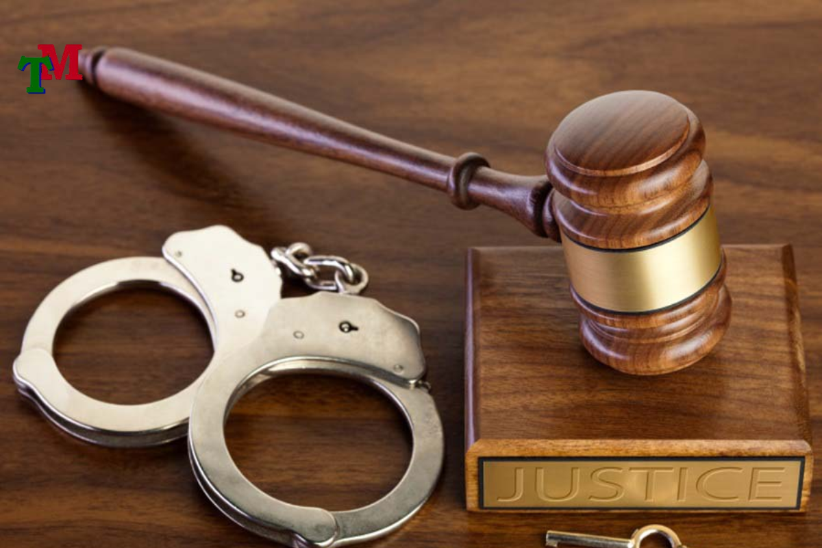 luật sư tư vấn pháp luật hình sự