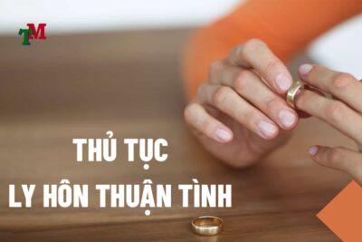 ly hôn thuận tình