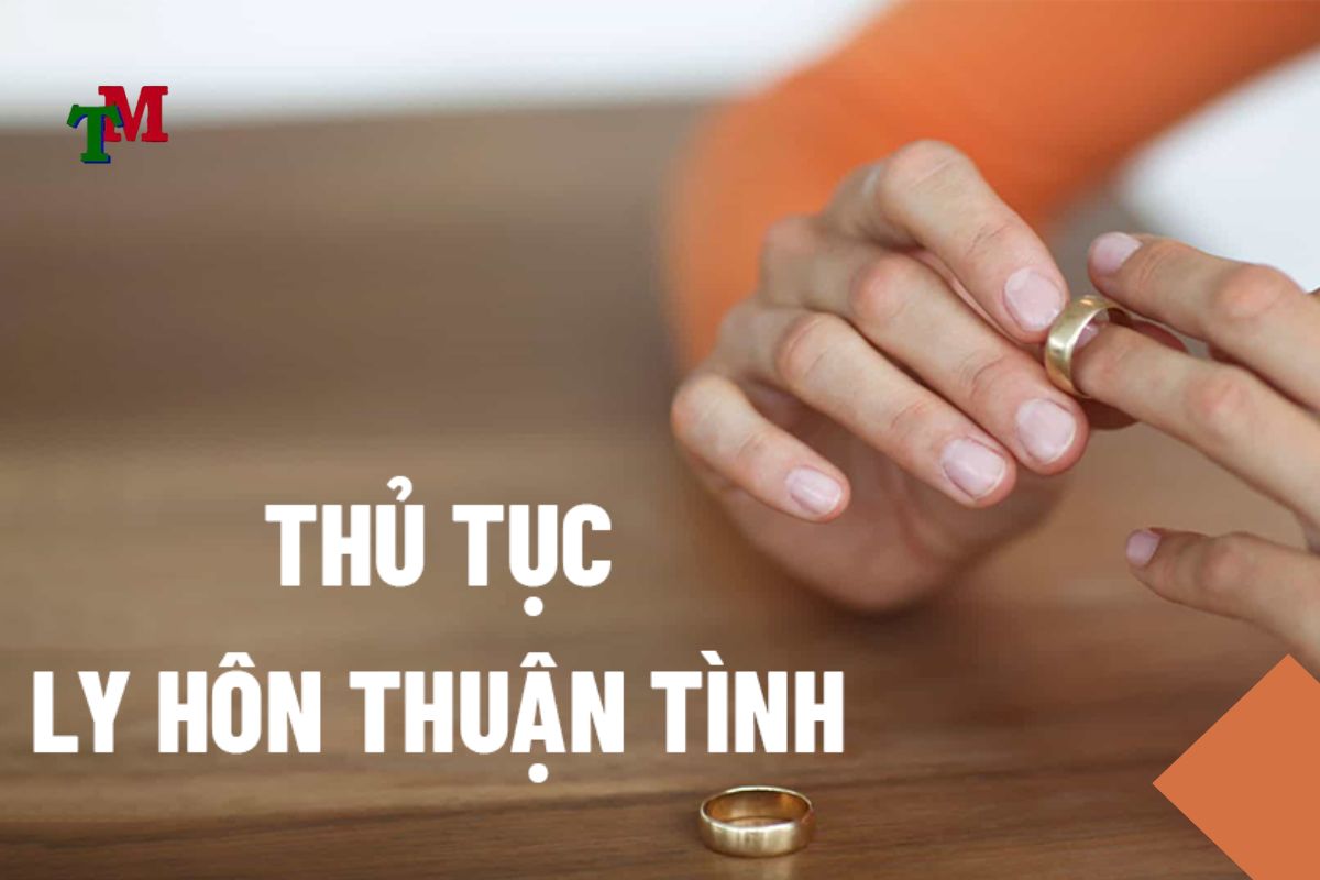 ly hôn thuận tình