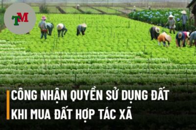 quyền sử dụng đất