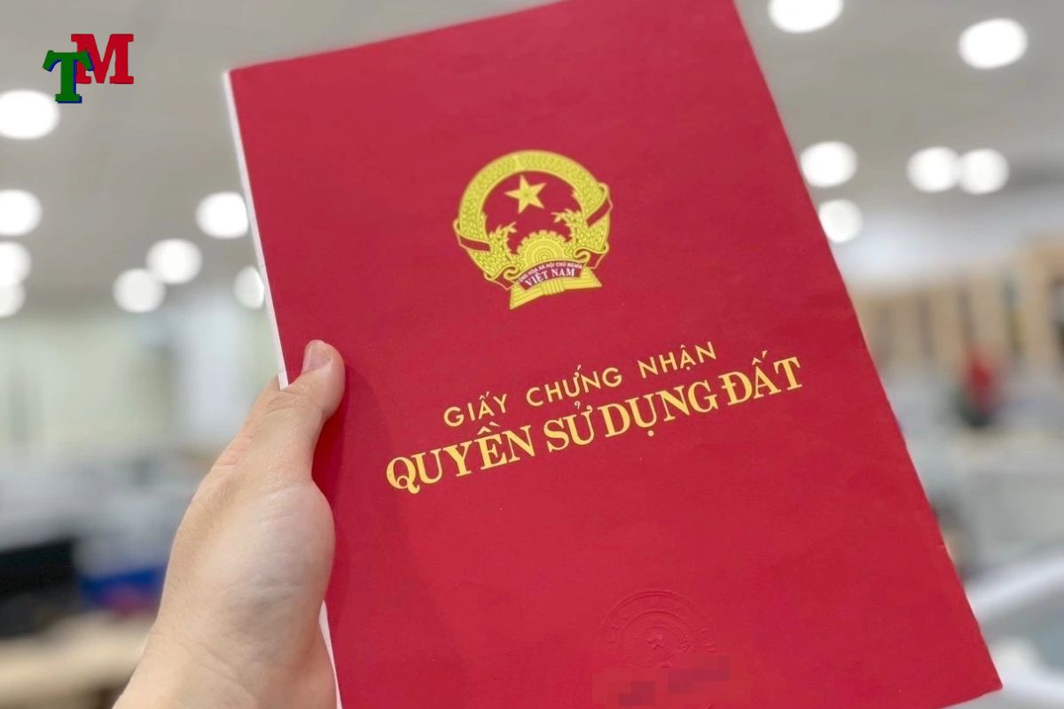 quyền sử dụng đất của hợp tác xã