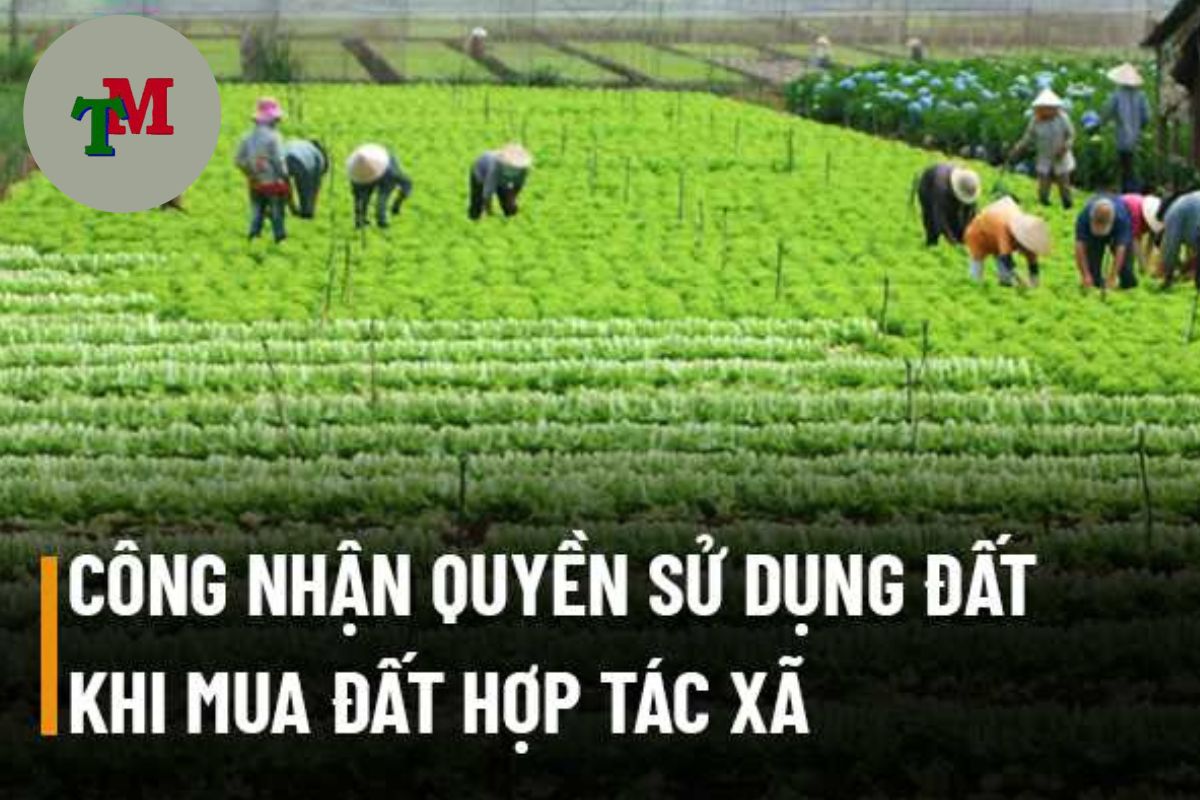 quyền sử dụng đất