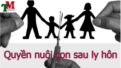thhue luat su gianh quyen nuoi con min
