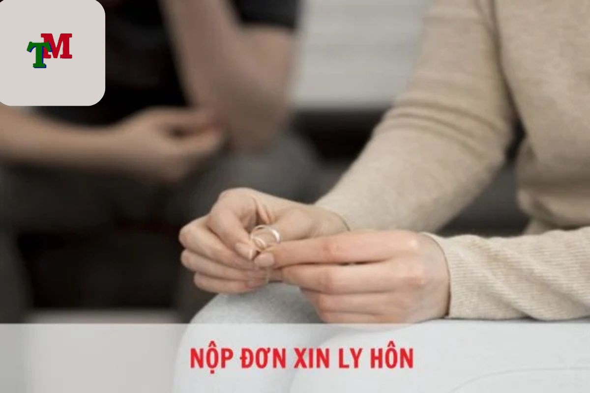 thuận tình ly hôn