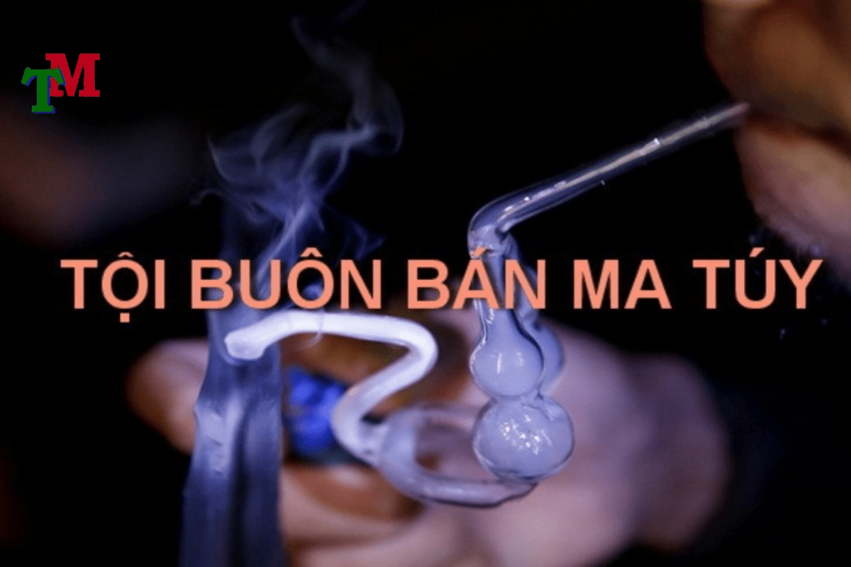 Luật sư bào chữa ma túy có vai trò gì trong các giai đoạn của vụ án?