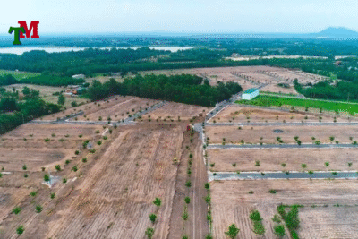 Diện tích tối thiểu tách thửa ở 63 tỉnh thành như thế nào? 6 Luat su tu van 66