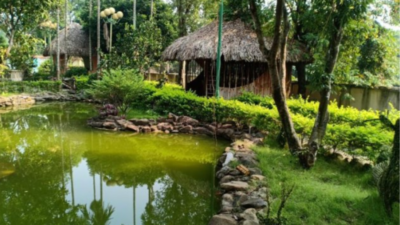 dat-tho-cu-co-phai-dat-o-khong