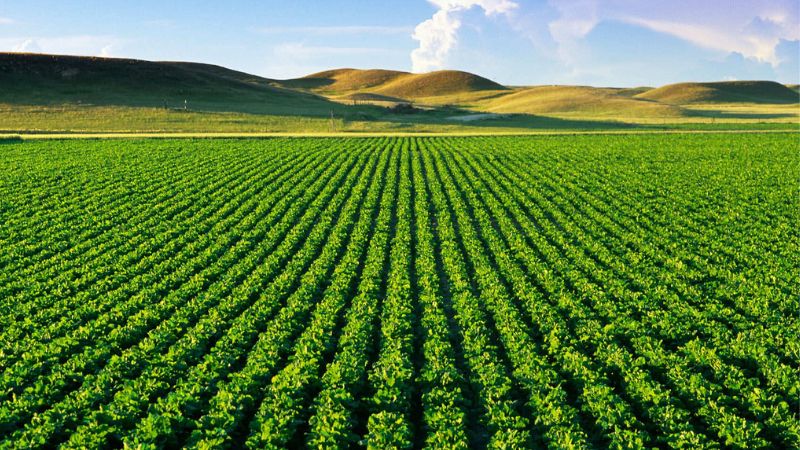 Bảo hiểm xã hội huyện Thoại Sơn, tỉnh An Giang - Tư vấn Bảo hiểm xã hội chuyên sâu 1 thoai-son-tinh-an-giang