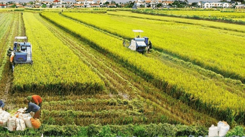 Tranh chấp lối đi chung giải quyết như thế nào? 4 tranh-chap-loi-di-chung