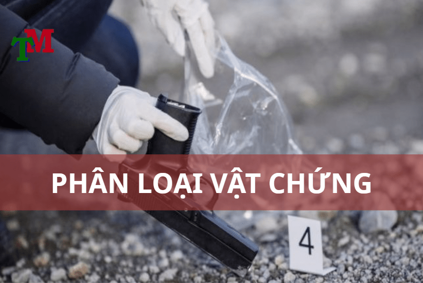 phân loại vật chứng
