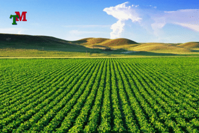 Đất nông nghiệp