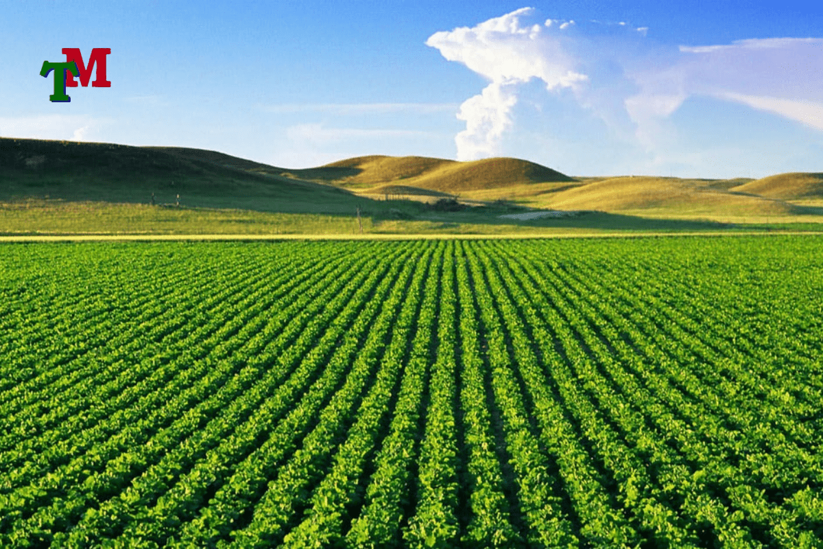 Thiet ke chua co ten