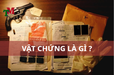Vật chứng là gì? Bảo quản vật chứng như thế nào? 1 vật chứng