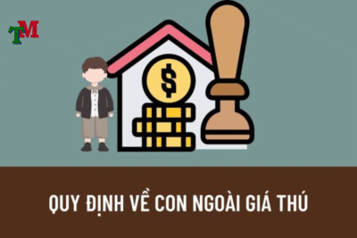 Quyền nuôi con ngoài giá thú được quy định như thế nào? 2 anh des LTM 10 1