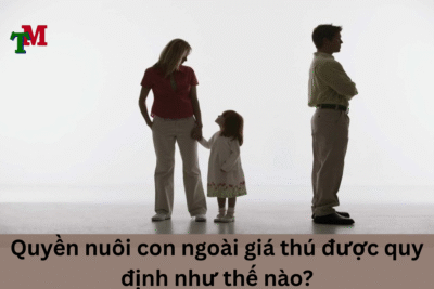 Quyền nuôi con ngoài giá thú được quy định như thế nào? 3 anh des LTM 11