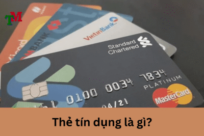 Không trả nợ thẻ tín dụng bị xử lý như thế nào? 1 anh des LTM 32
