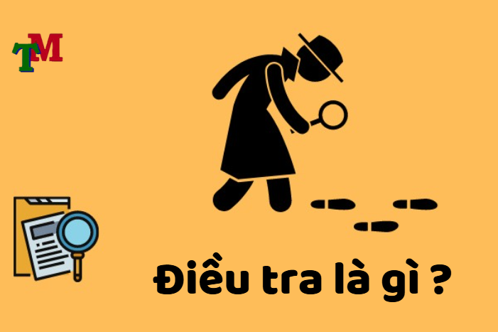 điều tra là gì