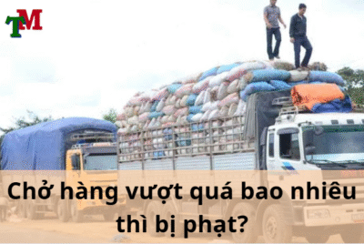 Chở hàng vượt quá chiều cao bị phạt như thế nào? 18 phat cho qua chieu cao