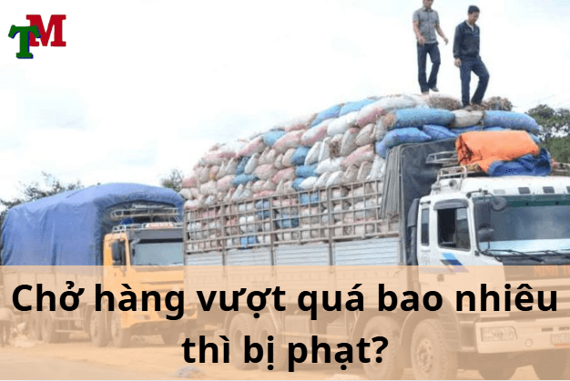 phat cho qua chieu cao