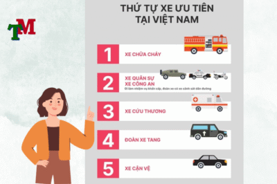 Đường ưu tiên là gì? Thứ tự đường ưu tiên theo quy định 24 thu tu xe uu tien