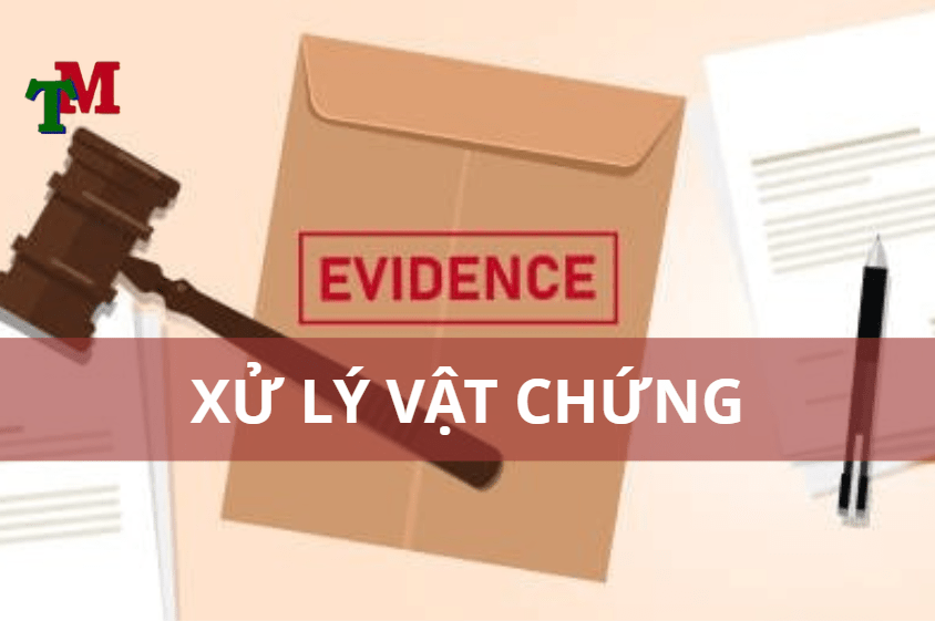 xử lý vật chứng