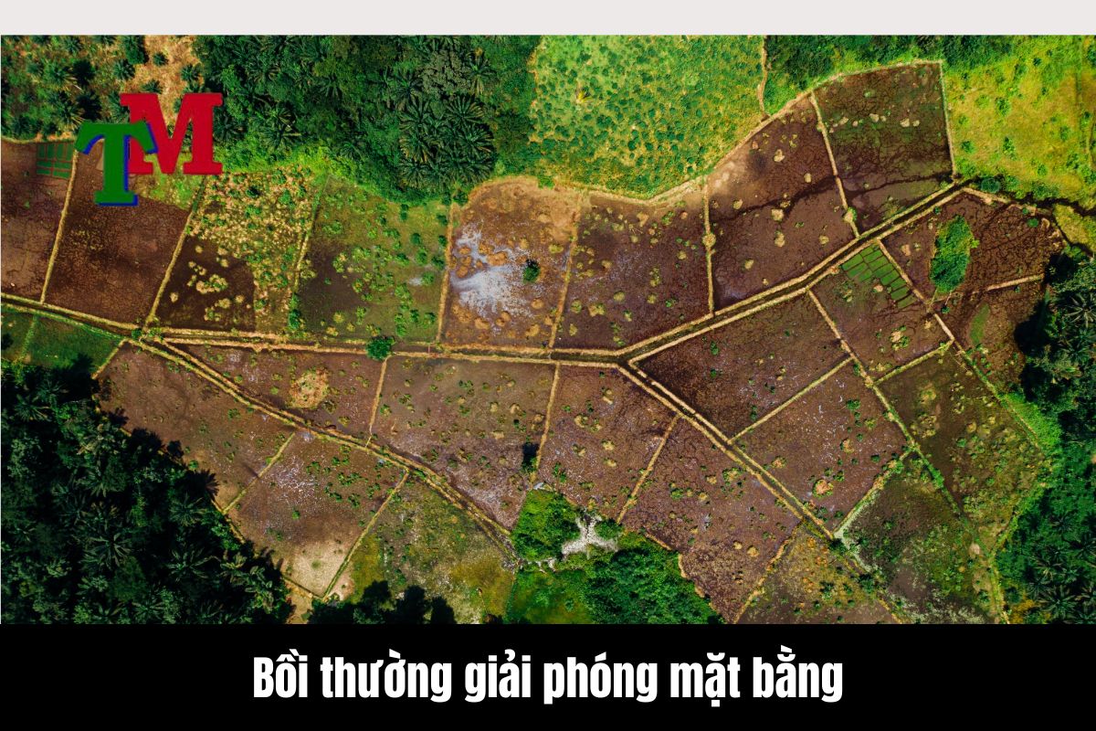 Khấu trừ tiền bồi thường giải phóng mặt bằng xử lý thế nào khi nhà nước thu tiền sử dụng đất? 1 Bồi thường giải phóng mặt bằng