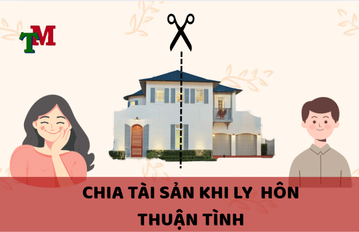 chua tài sản khi y hôn thuận tình