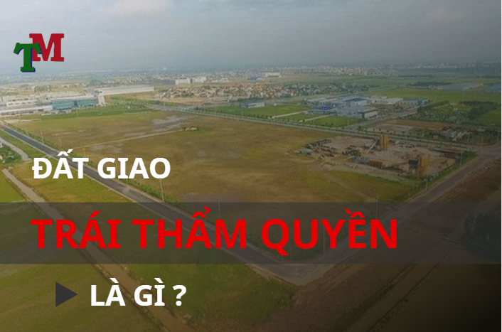 đất giao trái thẩm quyền là gì