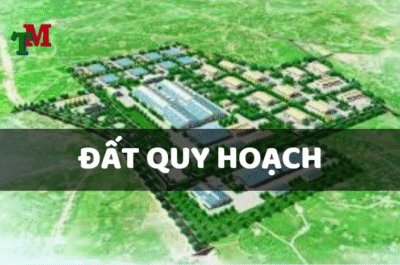 đất quy hoạch