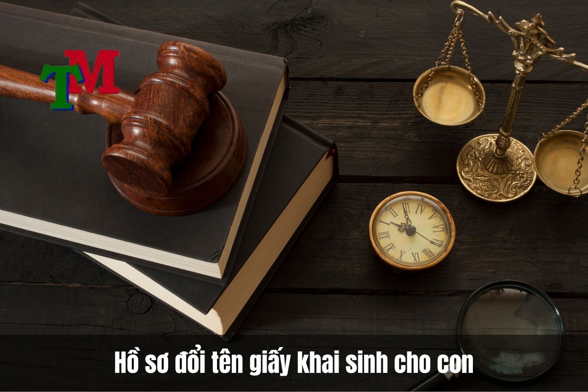 Dịch vụ đổi tên giấy khai sinh nhanh chóng, uy tín 3 Hồ sơ đổi tên giấy khai sinh cho con