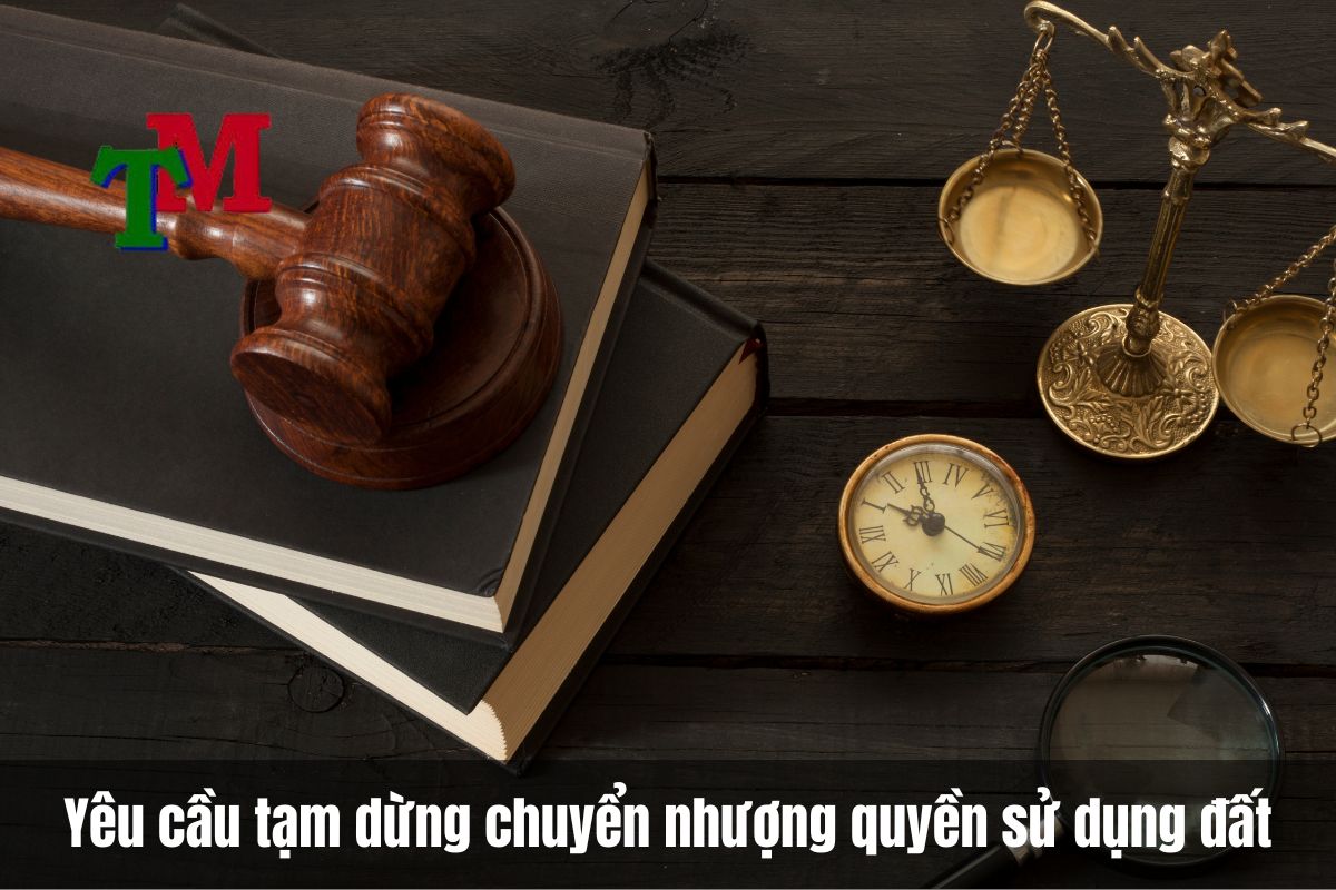 Đơn ngăn chặn chuyển nhượng quyền sử dụng đất theo quy địn Bộ luật Tố tụng Dân sự 2015 2 Quyền yêu cầu tạm dừng chuyển nhượng quyền sử dụng đất