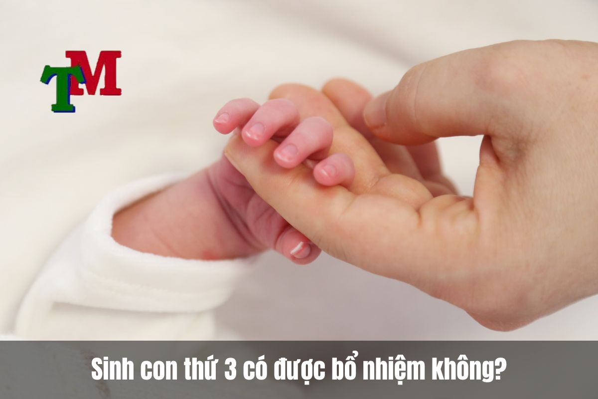 Sinh con thứ 3 có được bổ nhiệm không?
