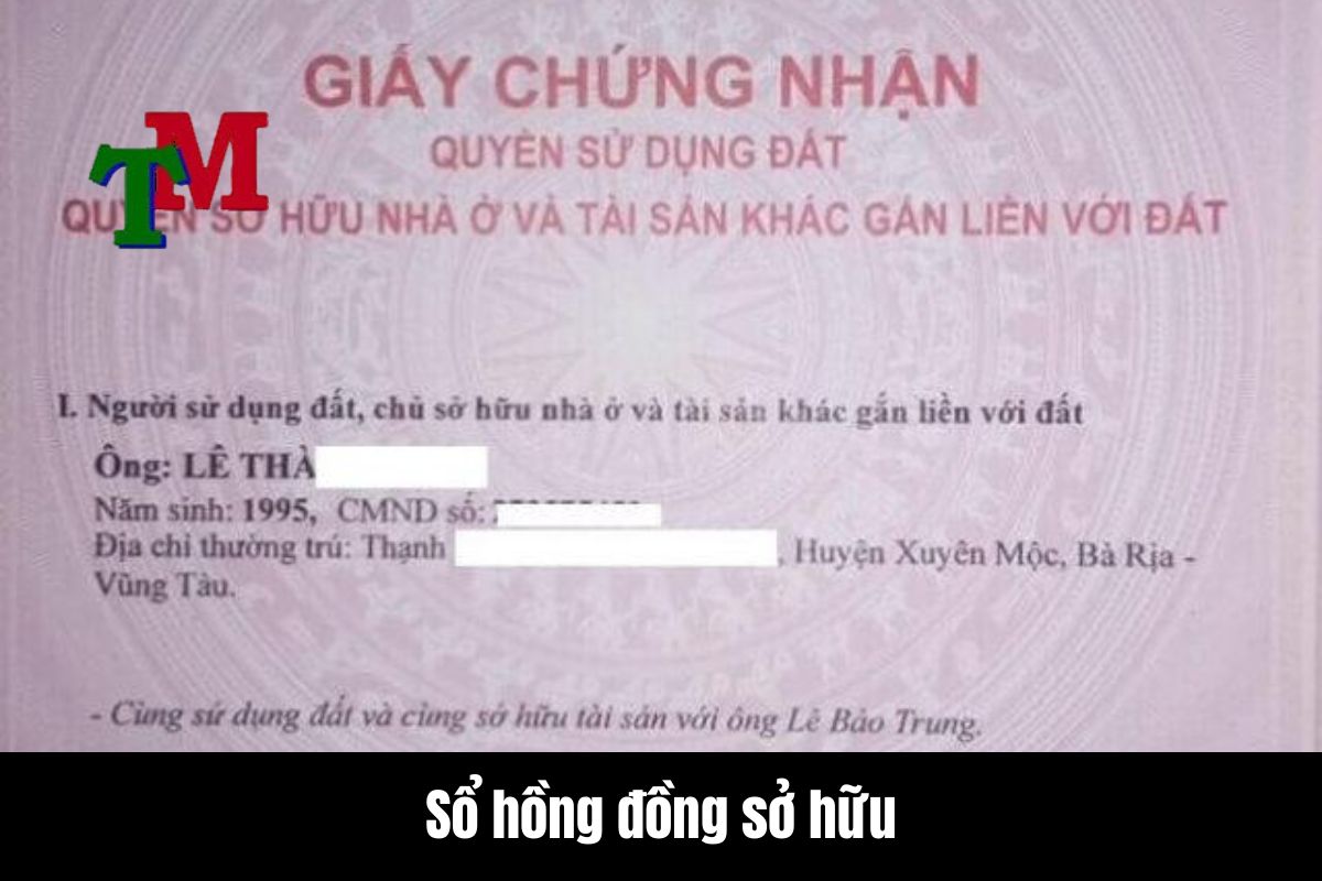Sổ đỏ đồng sở hữu có vay thế chấp được không? 1 Sổ hồng đồng sở hữu là gì?
