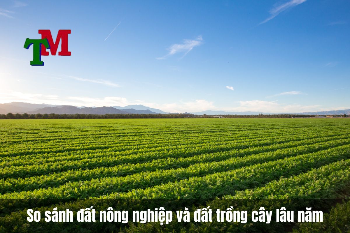 So sánh đất nông nghiệp và đất trồng cây lâu năm