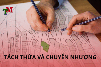 tách thửa và chuyển nhượng