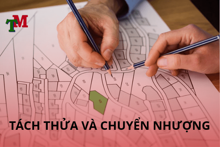 tách thửa và chuyển nhượng
