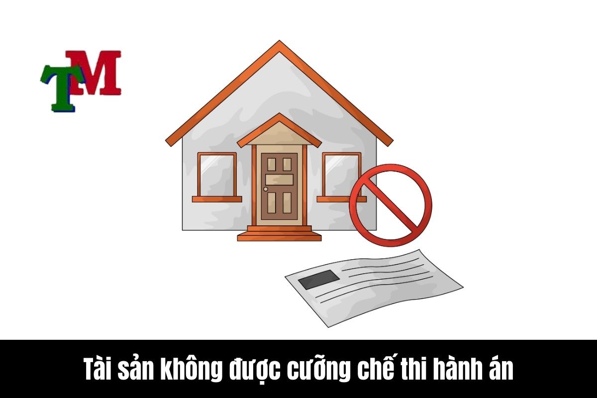 Tài sản không được cưỡng chế thi hành án