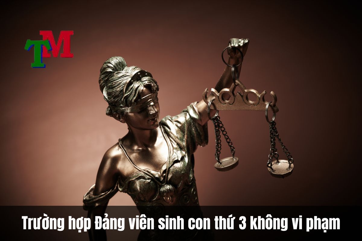 Trường hợp nào Đảng viên sinh con thứ 3 không vi phạm