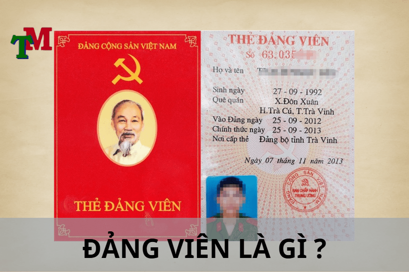đảng viên là gì