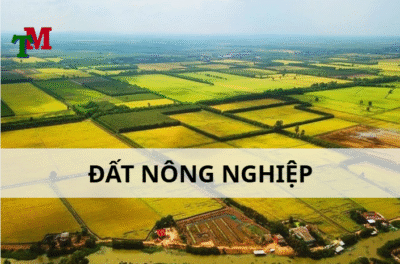 đất nông nghiệp